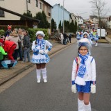 Karnevalsumzug